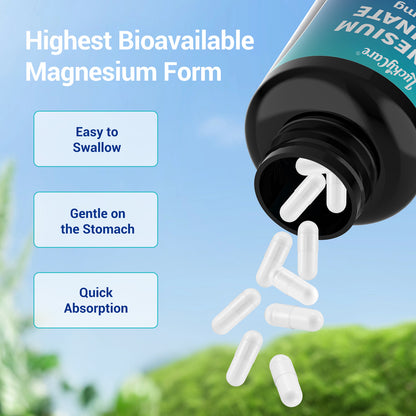 Magnesium Glycinate 500mg | 240 Capsules